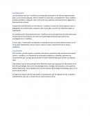 Los documentos técnicos.