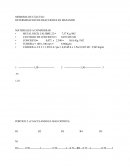 MEMORIA DE CÁLCULO DETERMINACION DE REACCIONES EN MEZANINE