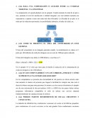 COMO SE PRESENTA EL ÁREA DEL CONSUMIDOR EN ESTE EJEMPLO.