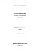 SISTEMA DE CONTROL EN INNOVA MODELS