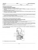 SISTEMAS RESPIRATORIOS