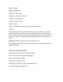 Informe de visita tecnica