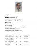 Curriculum vitae. Ejemplo.