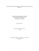 Actividad Elementos fundamentales de la cultura digital