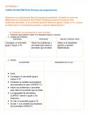 Actividad Curso de matemticas (Proceso de programación)