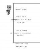 ¿Cómo se explica el origen, evolución y diversidad de los sistemas vivos?