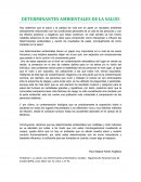 DETERMINANTES AMBIENTALES DE LA SALUD
