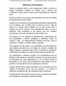 Molécula a Ecosistema.