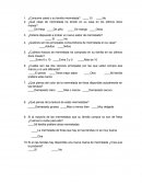 Encuesta: Alimentación.