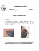 Se escogió esta pala de jardinería por que presenta un avance rápido de oxidación y ocasiona problemas al estarla utilizando y dificulta la excavación en la tierra.