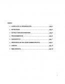 La empresa Muebleria “Los amigos S.A.”