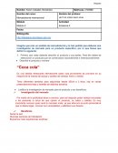 Mercadotecnia internacional Evidencia 2