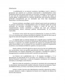 Globalización - Ensayo.