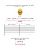 Actividad enzimática y uso de la catalasa extraída de nombre del alimento en la conservación del nombre del alimento