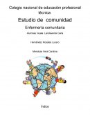 ESTUDIO DE LA COMUNIDAD.