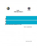 Actividad de adquisicion del conocimiento. Física y laboratorio