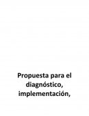 Propuesta implementación niif/.