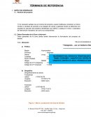 TERMINO DE REFERENCIA.