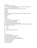 Matematicas 1.- LEA EL SIGUIENTE PARRAFO.