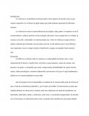 La violencia es un problema social que afecta varios aspectos de nuestra vida