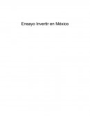 Ensayo Invertir en México