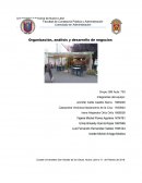 Organización, análisis y desarrollo de negocios