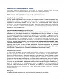 Como hacer un ensayo. La estructura elemental de un ensayo.