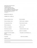 Incumple con las tareas asignadas Trae juguetes u otros distractores a la escuela