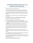 SISTEMA RESPIRATORIO EN LOS SERES VIVOS (ENSAYO).