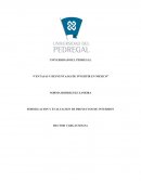 VENTAJAS Y DESVENTAJAS DE INVERTIR EN MEXICO” NORMA RODRIGUEZ ZAMORA FORMULACION Y EVALUACION DE PROYECTOS DE INVERSION
