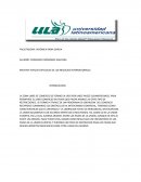 MATERIA TOPICOS ESPECIALES DE LOS NEGOCIOS INTERNACIONALES