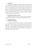 Ensayo curso datologia