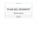 FLOR DEL DESIERTO. Mutilació genital