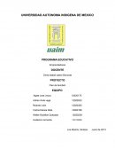 ENSAYO FLAN DE BOMBON.