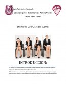 ENSAYO: EL LENGUAJE DEL CUERPO.