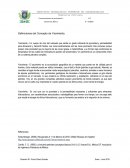 Definiciones del Concepto de Yacimiento