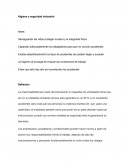 Higiene y seguridad industrial. Ensayo