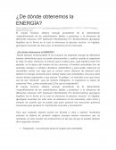 ¿De dónde obtenemos la ENERGÍA?