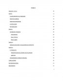 ANALISIS EJECUCION Y EVALUACION DEL PROYECTO