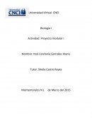 Biología proyecto modular.