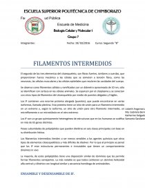 FILAMENTOS INTERMEDIOS.. Página 1