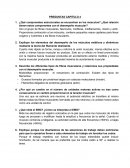 ¿Qué componentes estructurales se encuentran en los músculos? ¿Qué relación tienen estos componentes con el desempeño muscular?