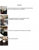 Parafrasis Constructiva