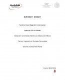 Ingeniería en Energías Renovables.