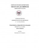 Crecimiento y desarrollo de una pyme