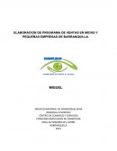 ELABORACION DE PROGRAMA DE VENTAS EN MICRO Y PEQUEÑAS EMPRESAS DE BARRANQUILLA.