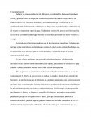 Mecanica Conceptualización