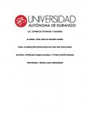 PLANEACIÓN ESTRATEGICA DE UNA MULTINACIONAL