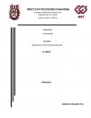 Emociones- Reporte de IntensaMente