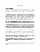 Tipo de suturas Suturas absorbibles